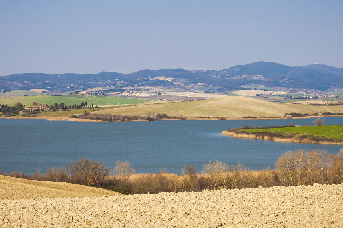 I campi coltivati che scendono verso il lago, con le colline sullo sfondo
