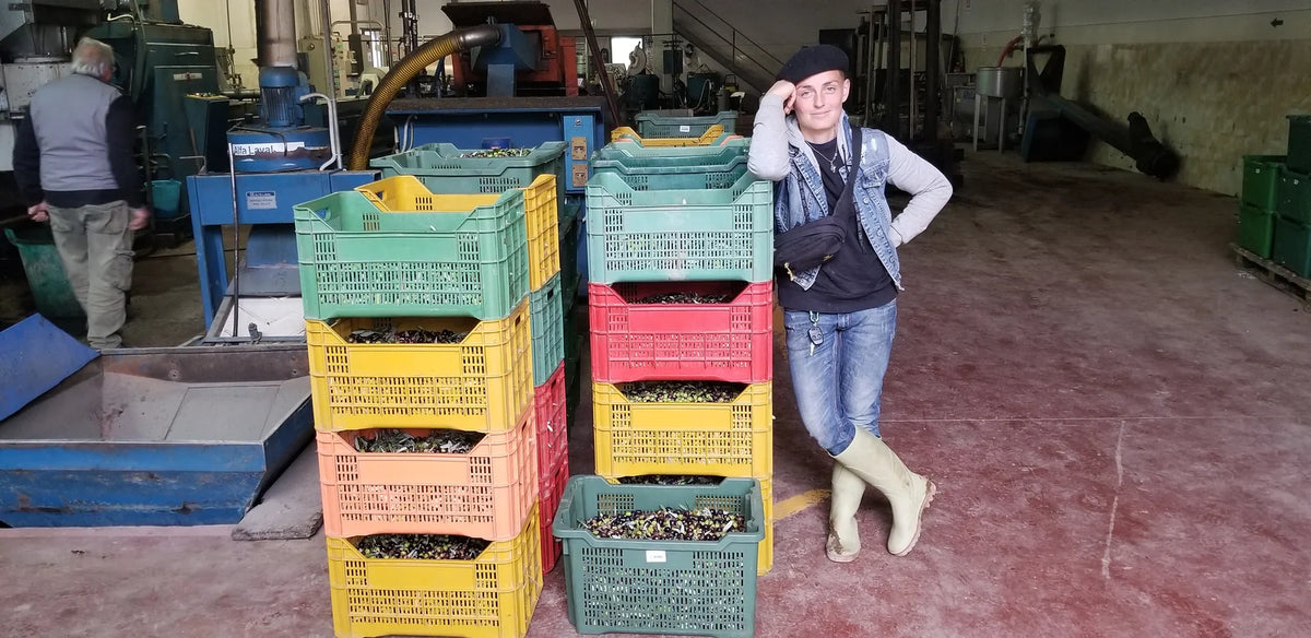 Una donna accanto alle cassette di olive dentro il frantoio, con i macchinari sullo sfondo