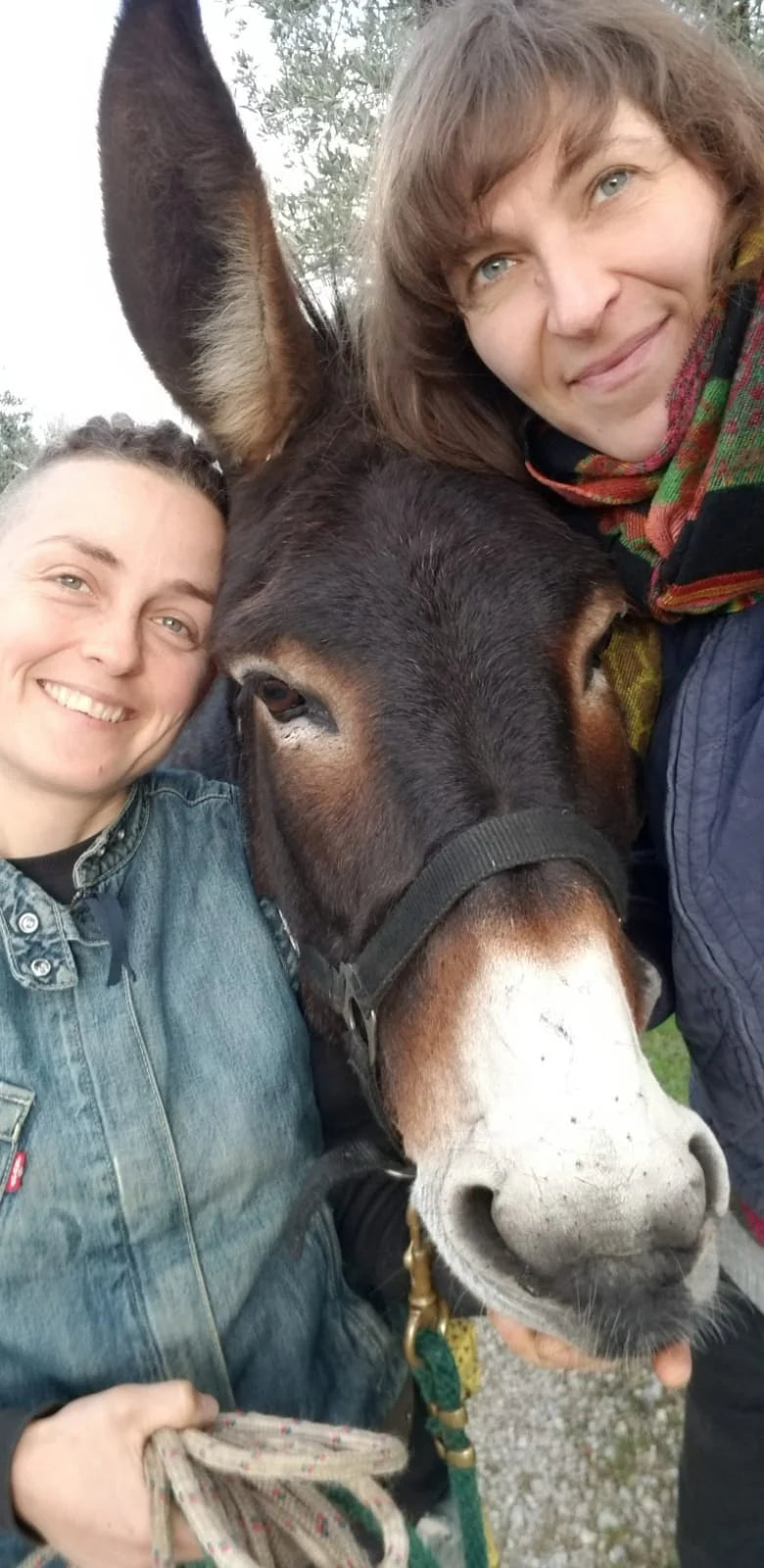 Due donne sorridenti accanto al muso di un asino