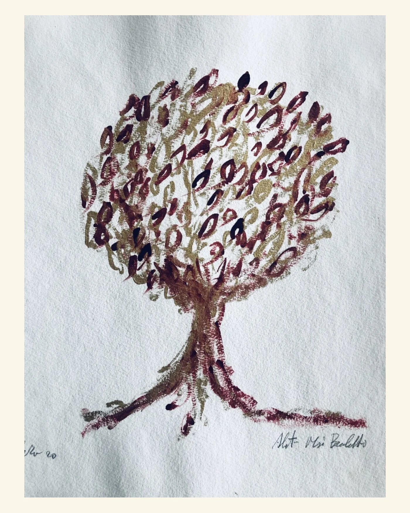Acquerello firmato dell'albero all'origine del marchio Macolo