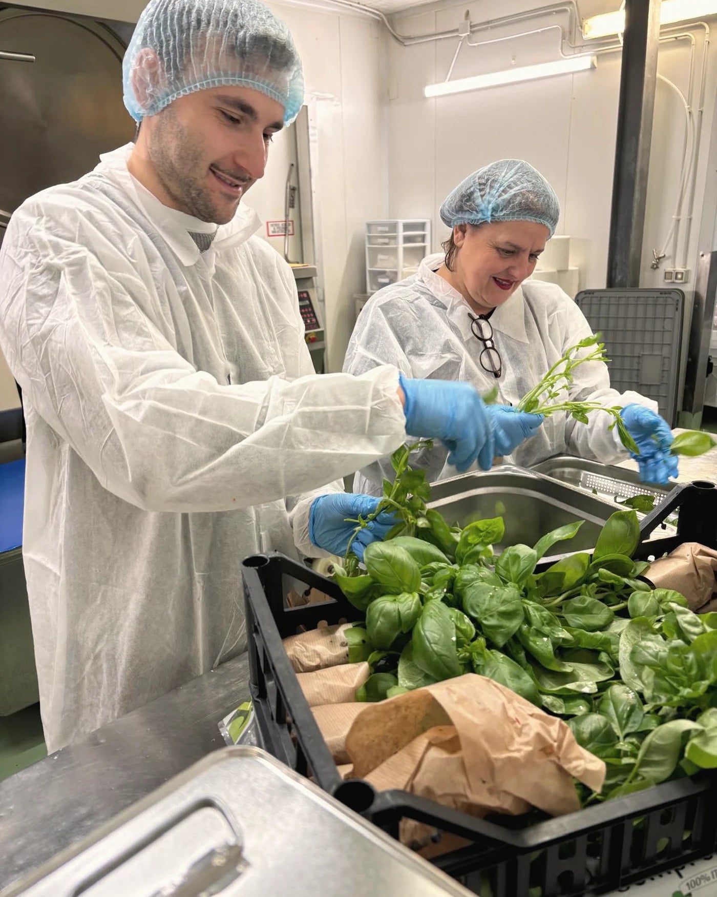 La lavorazione in laboratorio con le verdure fresche