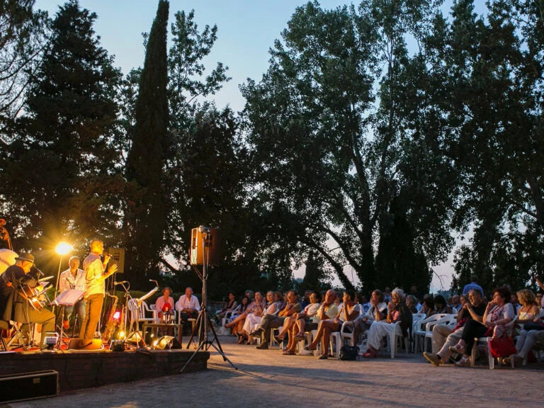 Un concerto serale all'aperto nel parco della fattoria