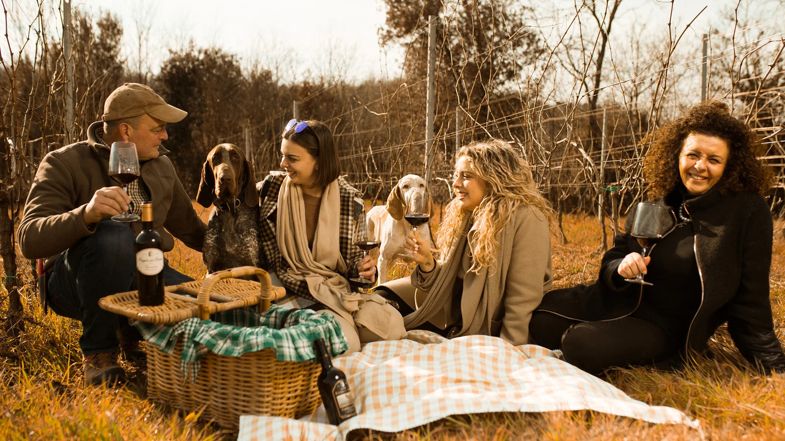 Un gruppo di persone a un picnic fra i filari, con i calici in mano